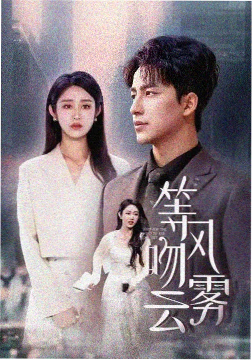 长巷灯火剧集条目封面